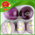 Chinese fresh red onions in mesh bag